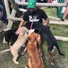 thedogfather_tx