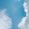 bubblevastsnoppy_
