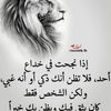 n.q833