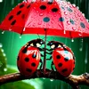 nergiz_343