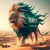fayezaouad55
