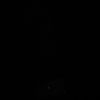 ii9n