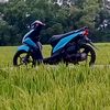 muhamadwildan182