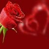 zuhairalhusseiniwhisper1