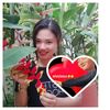 yanlay43