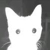 ded_vol_35