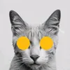 КОТОВСКИЙ