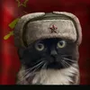 timoxa_425
