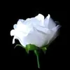 k.hussain7862