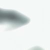 user031901473