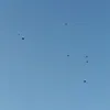 ngbm74