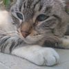 andrea307097