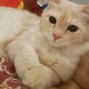 meetiemeee