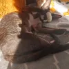 _oli_10_10