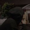 ferdy_ap_