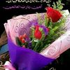 muhammadluqman655