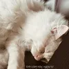 ttt_12122