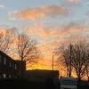 harrisonm56