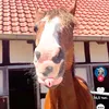 www.tiktok.serafim