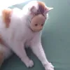 naaaaatti
