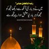 mohidqureshi602