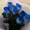 reski05522150
