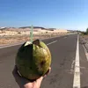 ớt..