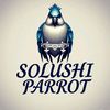 birdfreeflysec