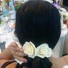 tibb.bacisi578