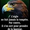 ngonkanlucressegmail.com