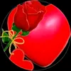 user5834568049036
