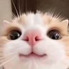 call_me_syan