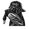 501.nelly