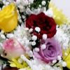 user7823197671022