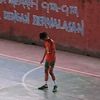 rapp_17d