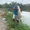 tuannguyen7974