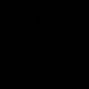 d.8.s