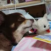 userelmm24vtzq