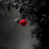 amnath__