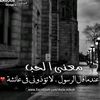 fady11_333
