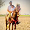 sehzadmalik81