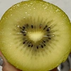 ono.kiwi