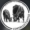 Costello Cattle