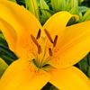 diyhacksandtricks23