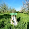 mash_a_3