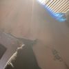proffitt.emily