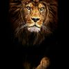 abdelmoneim143
