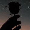 user4285573233104