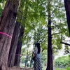 _taman.98_