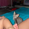 jennjenn312022